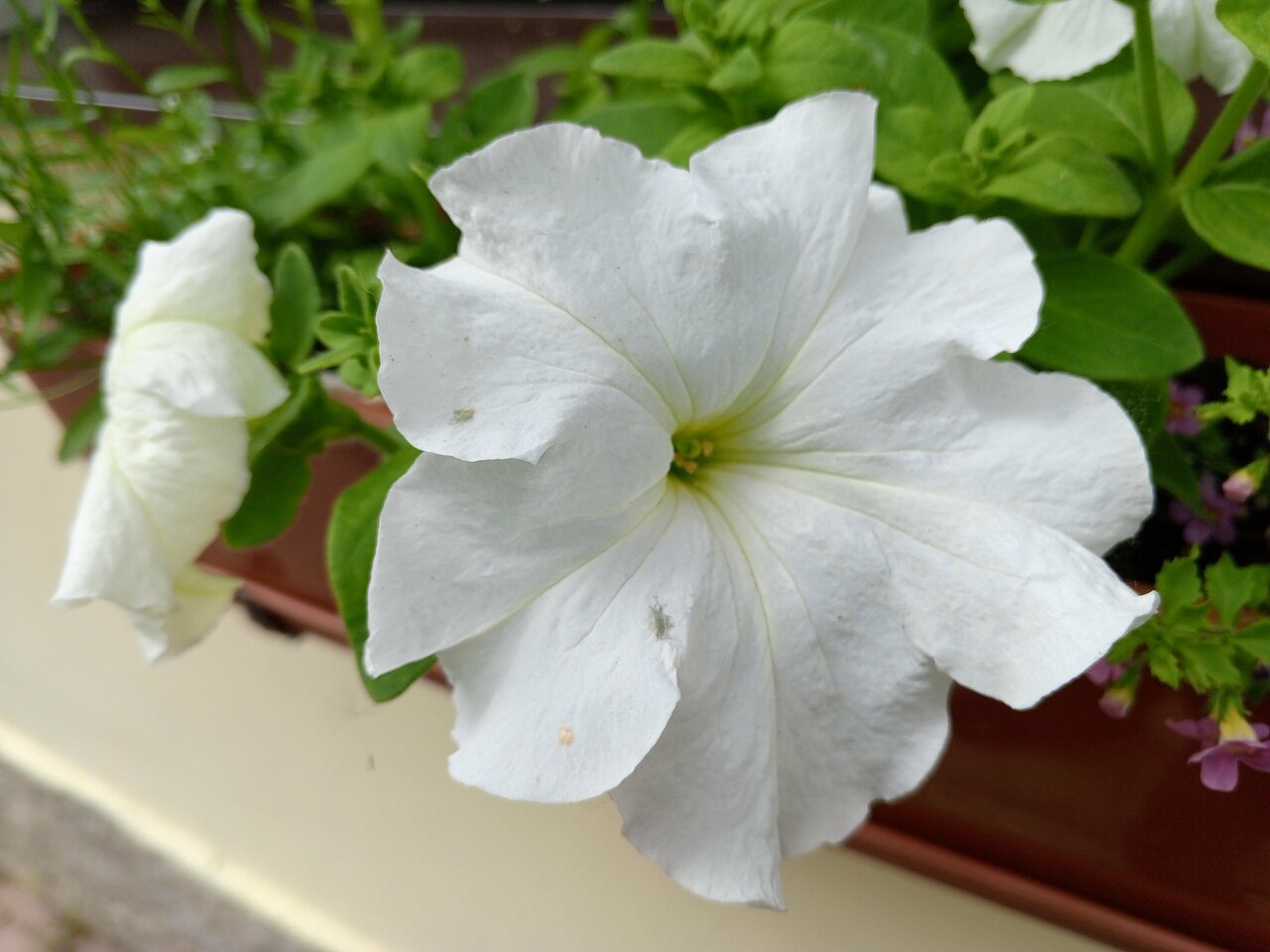 Гостиница Особняк на Карла Маркса Старица-64