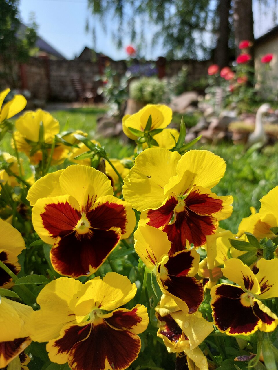 Гостиница Особняк на Карла Маркса Старица-56