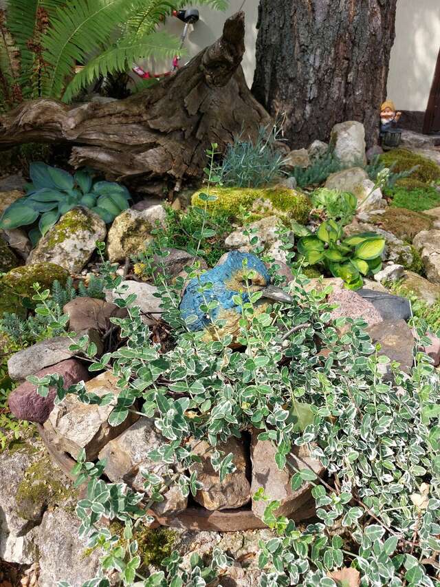 Гостиница Особняк на Карла Маркса Старица-22