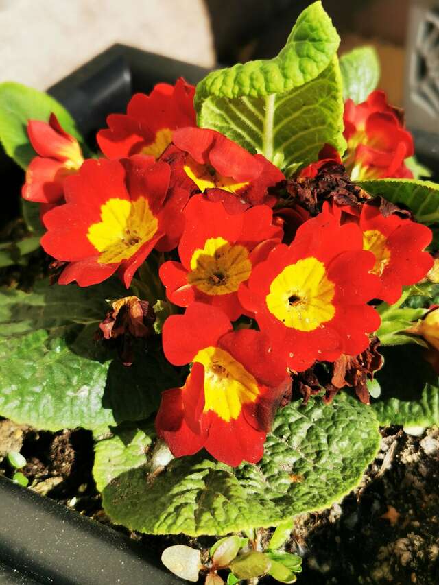 Гостиница Особняк на Карла Маркса Старица-155