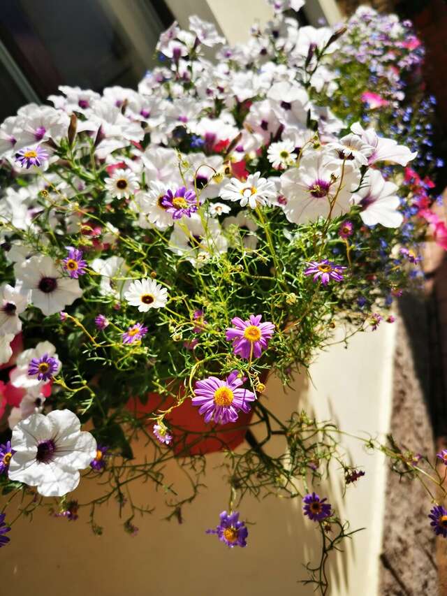 Гостиница Особняк на Карла Маркса Старица-107