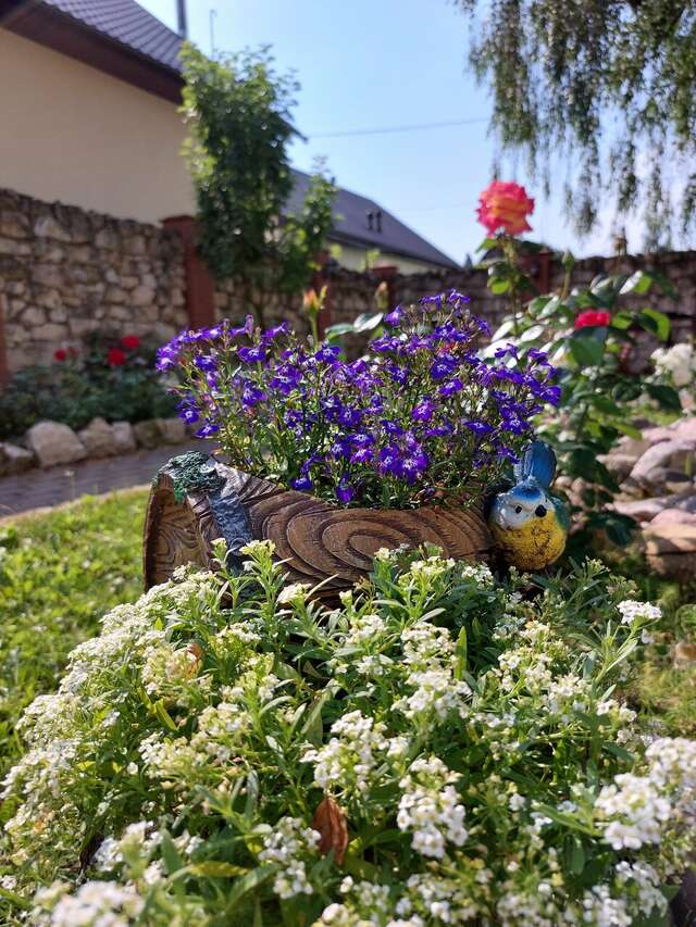 Гостиница Особняк на Карла Маркса Старица-34