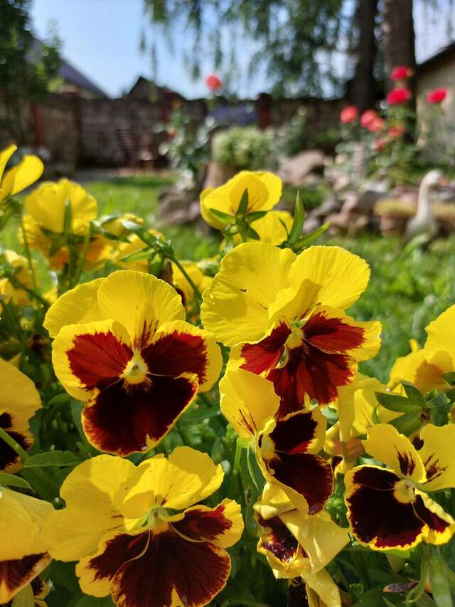 Гостиница Особняк на Карла Маркса Старица-55